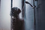 woman alone in the shower