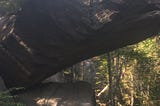 Piazza Rock