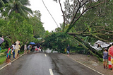 Humanity & Inclusion responds to Typhoon Mangkhut