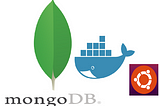 Create a Mongo Database with a Docker Container on Ubuntu and Access it from External Server