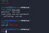 Cat writeup (HTB: mobile)
