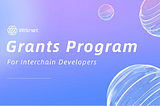 Meet Grantees of the IRISnet Grants Program Round 1