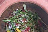 Why I feel an instant connect with ‘people who compost’