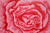 🌹 🌹 How Will I Show Someone I Love Them Today? 🌹 🌹
