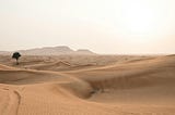 Travel Memories: Civilized Arabian Desert Washroom Experience