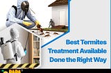 Experience Superior Termite Treatment with Papa Mango