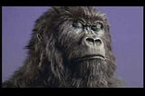 A Case Study on Cadbury’s Award Winning Gorilla Ad Campaign