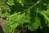 What sustain us is not sustainable
