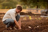 What Has Gardening Taught Me About Leadership?