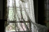 The open window