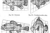 A beginner’s guide to shape analysis using Deformetrica