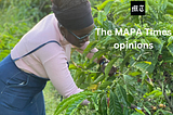 MAPA Voices Changemakers -The story of one of Africa’s dazzling climate leaders.