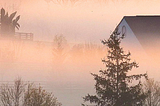 Welcome to JP BrandPlus: Your Gateway to Global Success in the Equine Industry