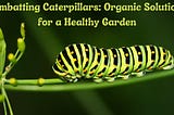 Combatting Caterpillars: Organic Solutions for a Healthy Garden