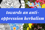 Towards an Anti-Oppressive Herbalism