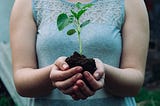 A white woman in a pale blue wool felt sleeveless top with lacework along the collar holds a seedling that is about 7 inches tall. It sits in a diuble handful of soil, cupped in her hands. The light appears to be cloudy, everything is a little blueish. You do not see above the woman’s shoulders or below her belly line. The background is barely visible.