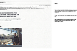 Witness statement by Domino Moore, Peter Kyle’s caseworker