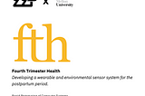 Fourth Trimester Health