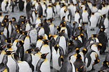 Palmer Penguin Data Cleaning