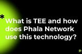 Safeguarding Data Confidentiality with Phala Network Trusted Execution Environments