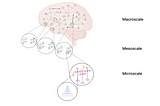 Predictive Coding: A Unified Theory of Cognition in Health and Disease?