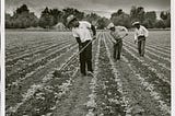 A Brief History of the Bracero Program and What We Have Learned From It