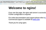 nginx welcome page displayed on a firefox