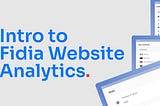 Introduction to Fidia Website Analytics