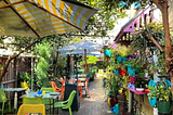 Secret Garden: transparency with weirdness