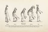 The commonalities between evolution and product design