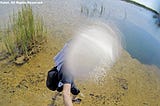 Walking Through The Water in Everglades National Park