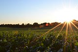 Sunset views Photo by Jake Gard on Unsplash