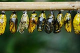Cloud Myths: Migrating to the cloud is quick and easy (Pill 2 of 5 / Cloud Pills)