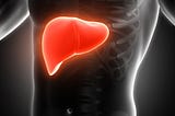 Top 8 Habits to Cut-Out for a Healthy Liver