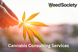 Cannabis Consulting Services: How They Can Help?