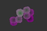 Gesture Controlled Flower Art with ml5.js PoseNet and p5.js.
