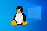 Windows Subsystem for Linux