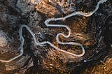 Are career paths a thing of the past?