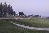 Meadow of Flowers: Gulmarg