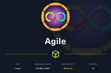 Agile — HackTheBox