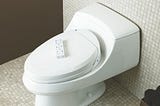 What are the common problems of bad toilets