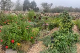 Thriving with Moles and Voles in the Garden