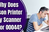 Why Does Epson Printer Say Scanner Error 00044?