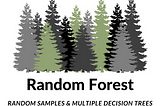 Building a Random Forest Model From Scratch with Python