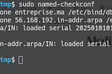TP : Installation et Configuration d’un Serveur DNS BIND