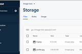 Quick SwiftUI: Loading an Image from Firebase Storage using SDWebImageUI