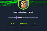 Hack the Box: Meerkat