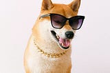 Is the Shiba Inu coin a good investment? What is the price prediction of the coin?
