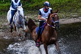 WHAT IS ENDURANCE HORSE RACING?