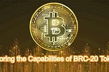 Exploring the Capabilities of BRC-20 Tokens